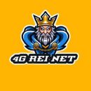 4G Rei Net icone